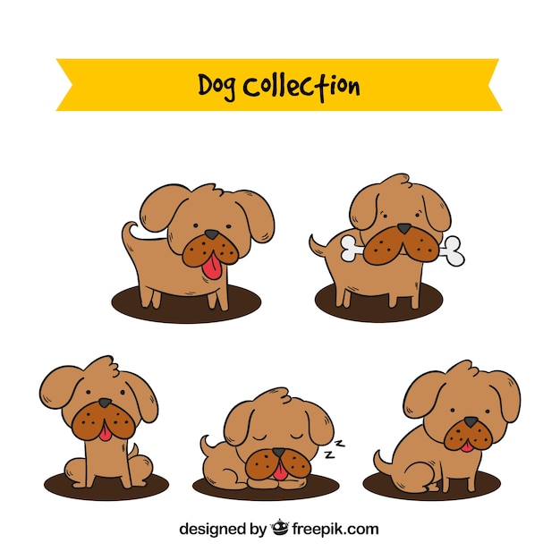 Free vector set of cute dog in hand-drawn style