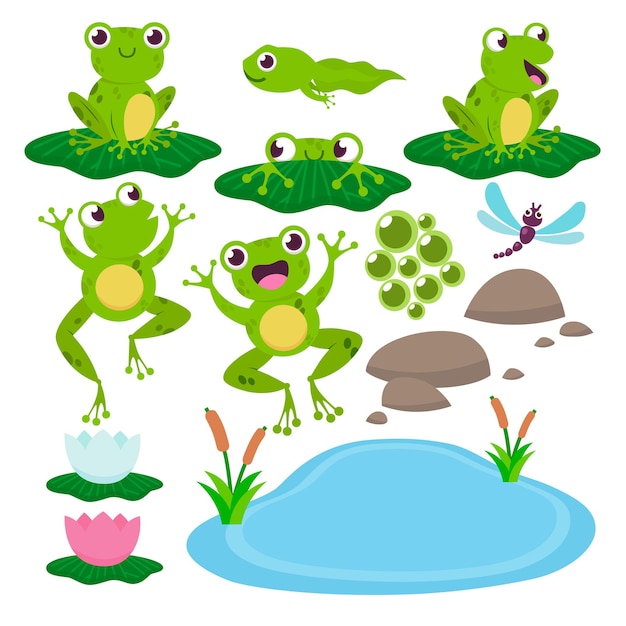 Free vector set of cute drawing frogs