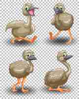 Free vector set of cute goose on transparent