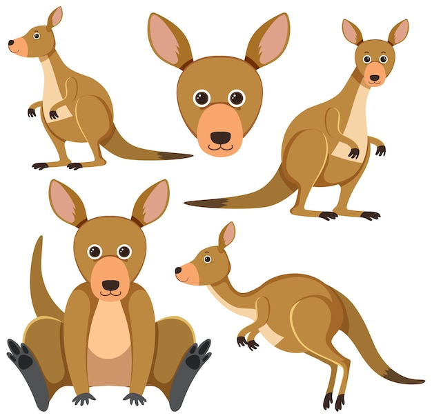 Vettore gratuito set di simpatico personaggio dei cartoni animati di canguro