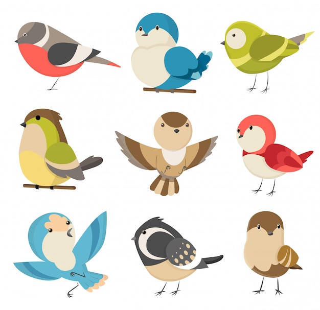 白で隔離されるかわいい小さなカラフルな鳥を設定します 一般的な家すずめカップル 男性と女性 かわいい漫画のスタイルの小鳥 孤立したクリップアートイラスト プレミアムベクター 白で隔離されるかわいい小さなカラフルな鳥を設定します 一般的な家すずめカップル 男性と女性 かわいい漫画のスタイルの小鳥 孤立したクリップアートイラスト プレミアムベクター