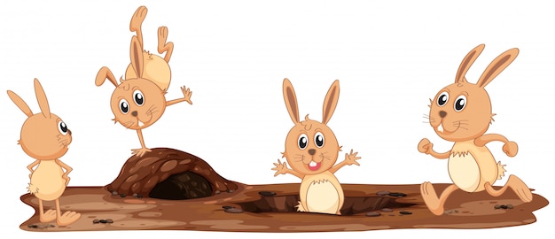 Free vector a set of cute rabbit