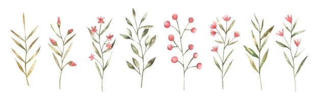 Set of cute twigs and flowers botanical illustration kids design wedding design decor design