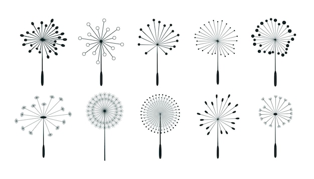 Free vector set of dandelion flower seeds design