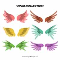 Free vector set of decorative colored wings