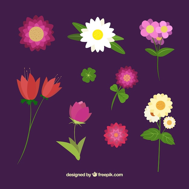Set of decorative flowers