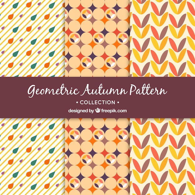 Free vector set of decorative geometric autumn patterns