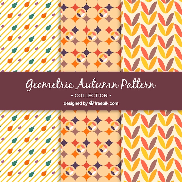 装飾的な幾何学的な秋のパターンのセット