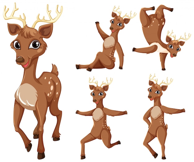 Set of deer cartoon character