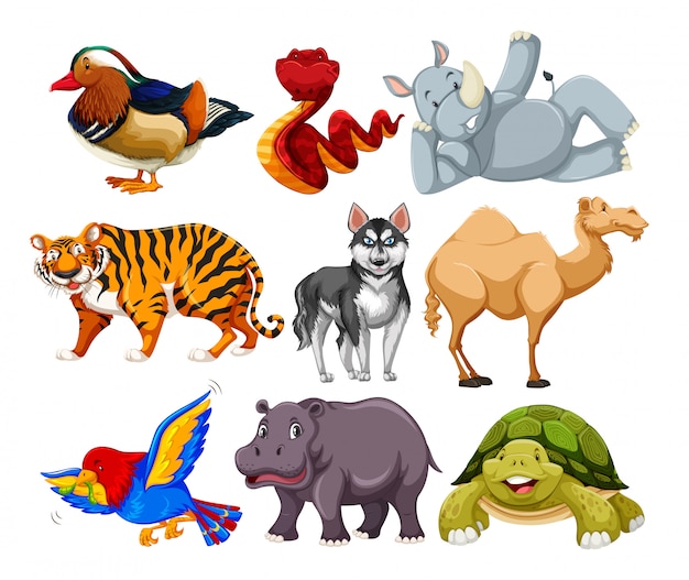 Free vector set of different animal character