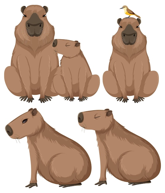 Set of different capybara in cartoon style
