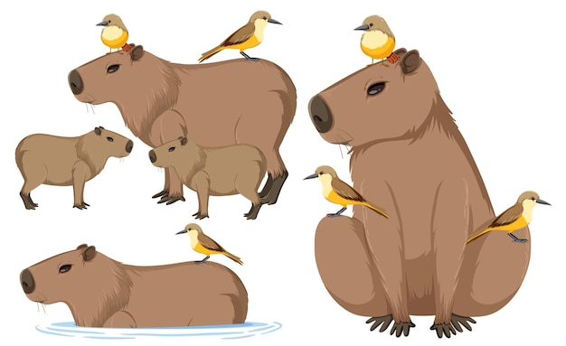 Baixe Capybara Adorável Usando um Chapéu Ornamental PNG - Creative