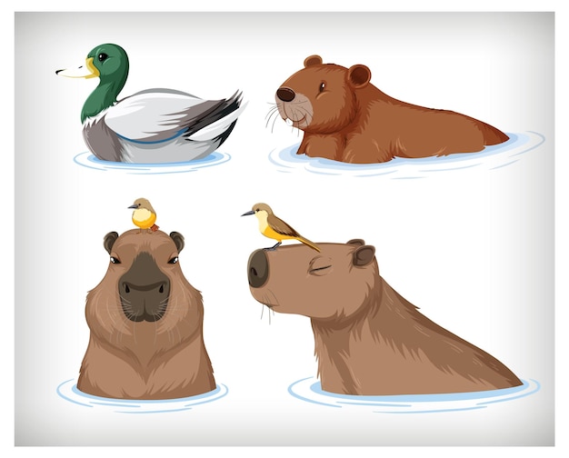 Free vector set of different capybara in cartoon style