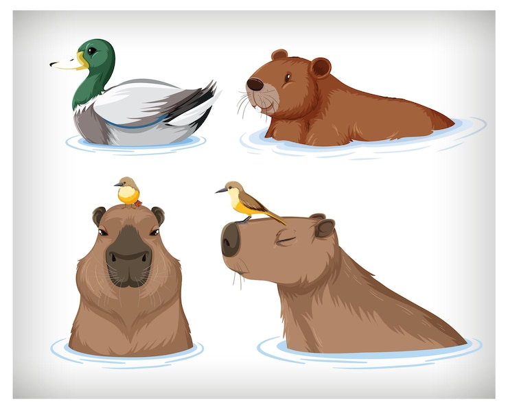 Free Vector set of different capybara in cartoon style