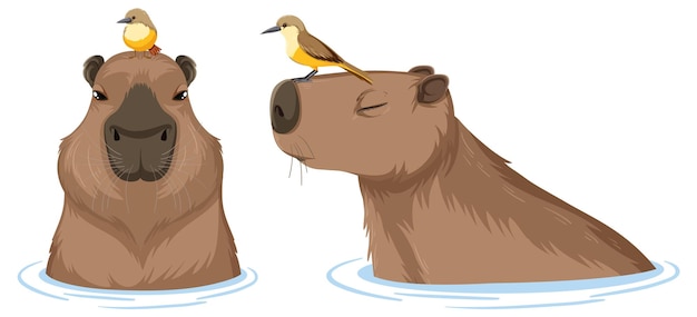 Free vector set of different capybara in cartoon style