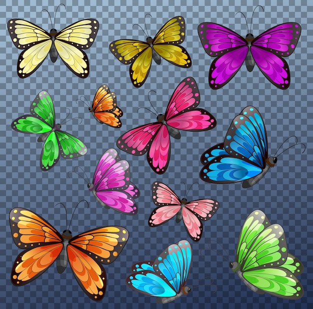 Set of different color butterfly on transparent