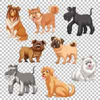 Free vector set of different dogs isolated