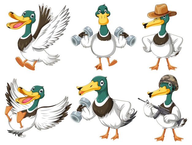 Set of different ducks cartoon character