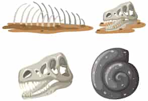 Free vector set of different fossils isolated