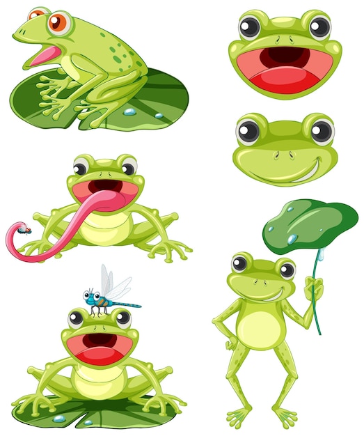 Free vector set of different frogs in cartoon style