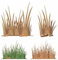 Free vector set of different grass clumps