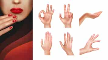 Free vector set of different hands with showing gestures and manicured nails