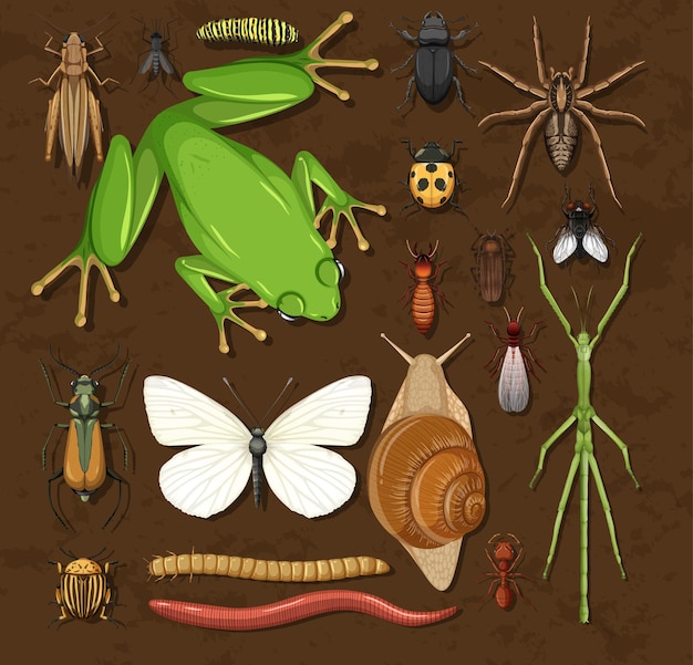 Free vector set of different insects on wooden background