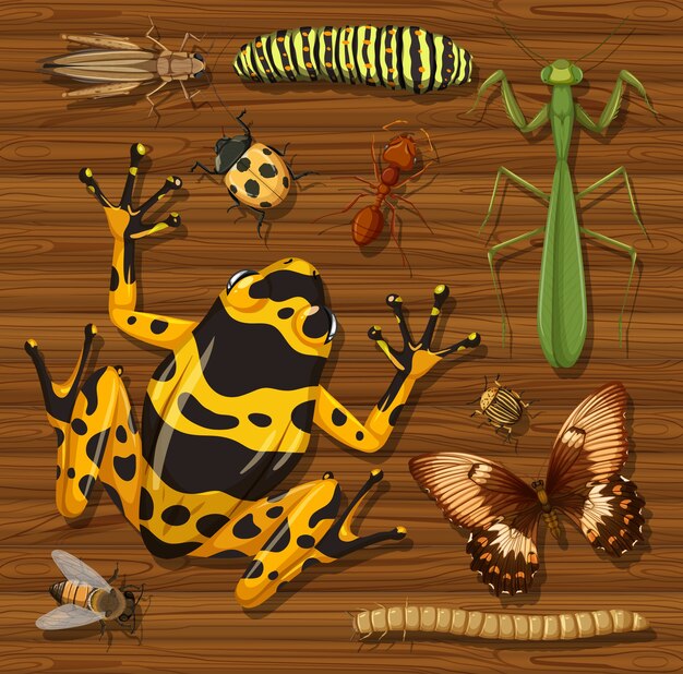 Set of different insects on wooden wallpaper background