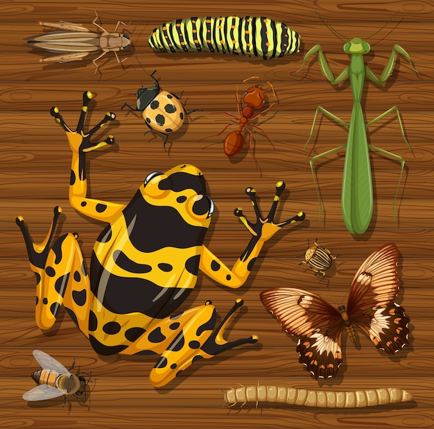 Set of different insects on wooden wallpaper background
