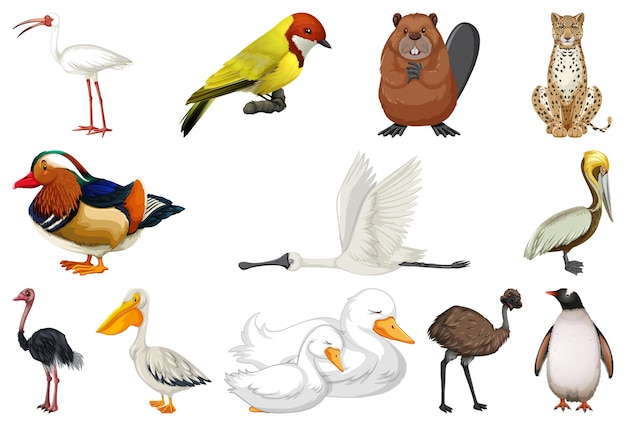 Free vector set of different kinds of animals