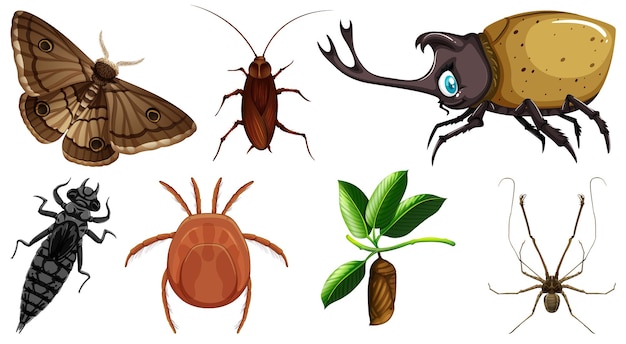 Free vector set of different kinds of insects