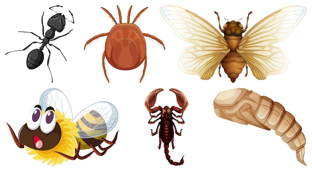 Vettore gratuito insieme di diversi tipi di insetti