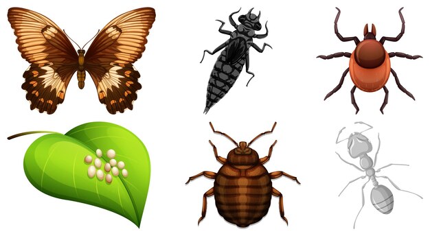 Free vector set of different kinds of insects