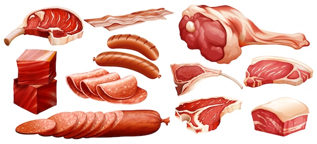 Free vector set of different meats