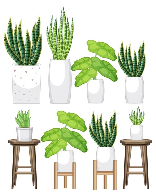 Set of different plant in pots on white background