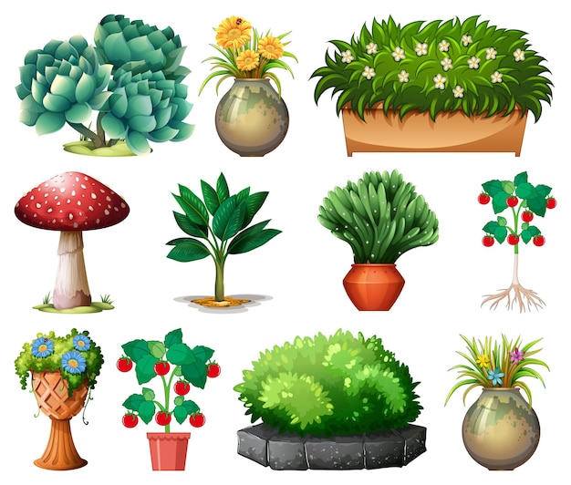 Free vector set of different plants in pots isolated on white