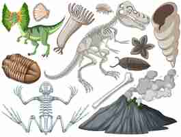 Free vector set of different prehistoric dinosaur animal