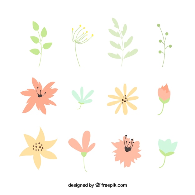 Free vector set of different spring flowers