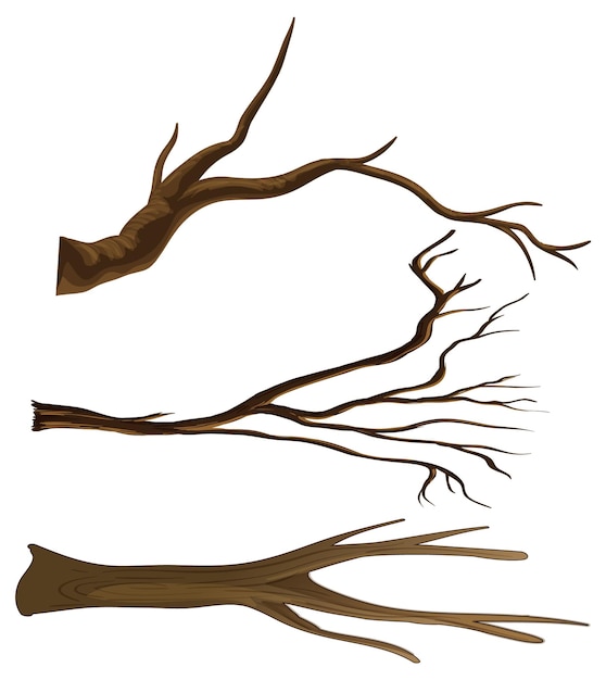 Free vector set of different tree branches isolated