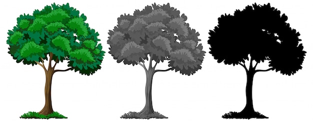 Free vector set of different tree design