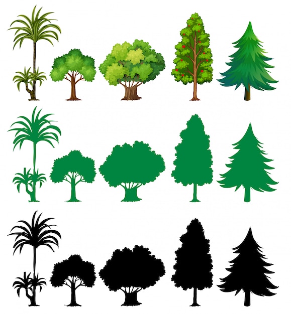 Free vector set of different tree