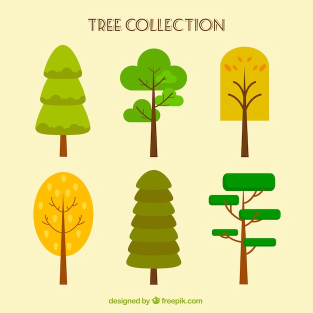 Free vector set of different trees in flat design