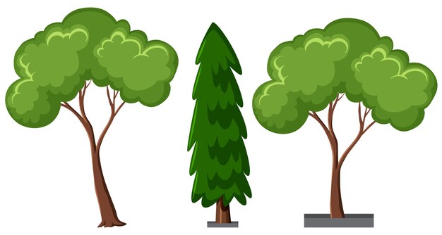 Set of different trees isolated on white background