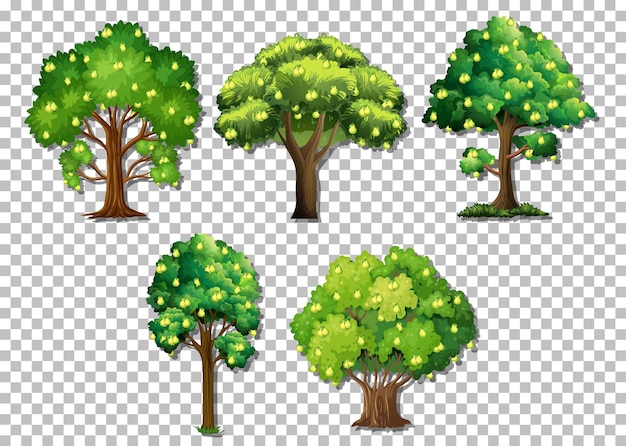 Insieme di alberi diversi su sfondo trasparente