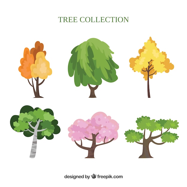 Set of different trees