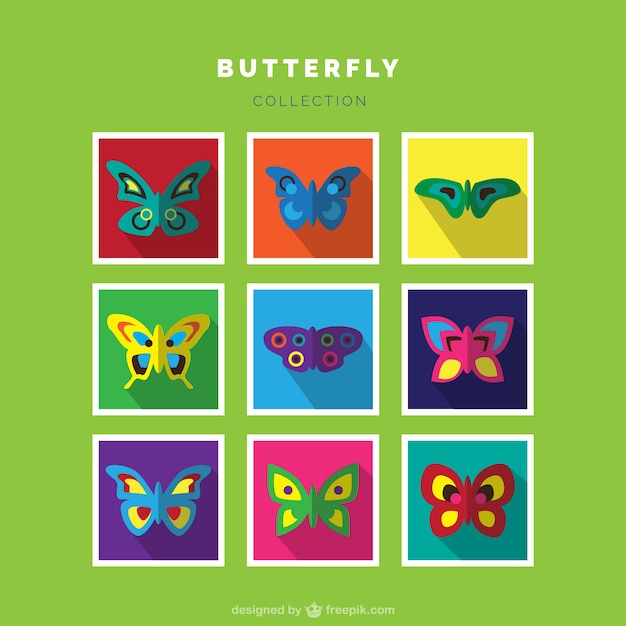 Set of different types of colorful butterflies