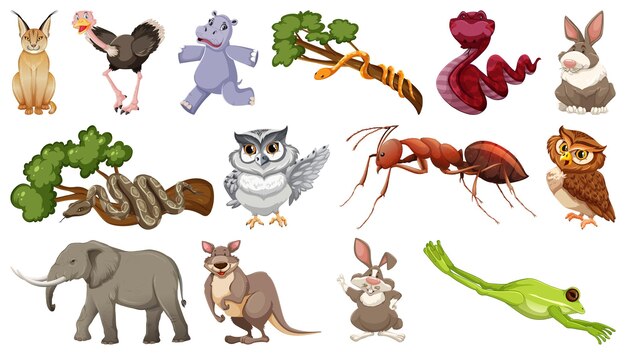 Set of different wild animals cartoon characters