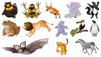 Free vector set of different wild animals cartoon characters