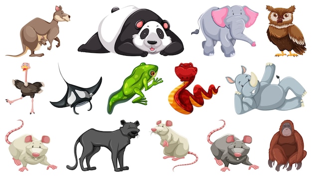 Set of different wild animals cartoon characters