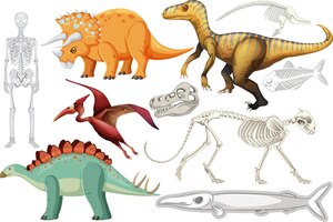 Vettore gratuito un insieme di dinosauri e fossili